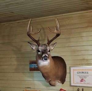 Meet your Posher, Dale